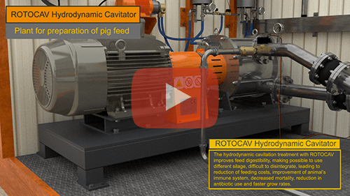 ROTOCAV hydrodynamic cavitator for the preparation of pig feed