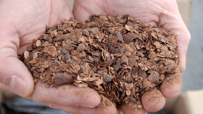 Extraction from cocoa bean shell waste with ROTOCAV cavitator