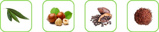 Alcuni esempi di matrici vegetali processabili con il cavitatore idrodinamico ROTOCAV nel settore della nutraceutica e dell'industria alimentare