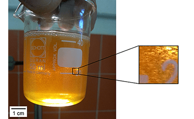 Effetto del trattamento con cavitatore ROTOCAV sulle bolle d’aria disperse nella fase olio